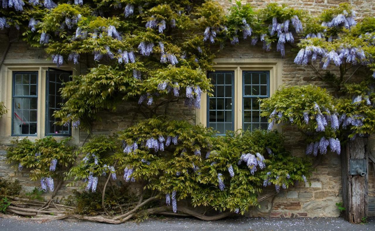Plumber Manor Hotel Sturminster Newton Exteriér fotografie